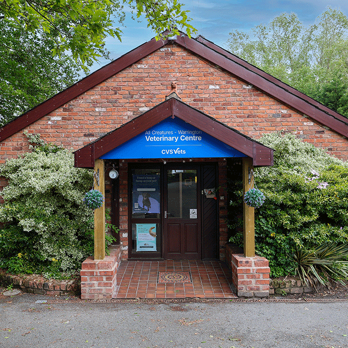 All Creatures Warrington external practice