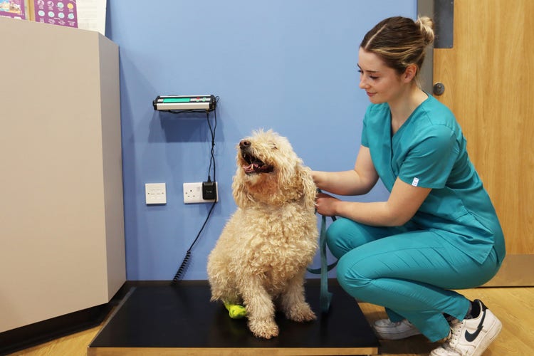 Practice finder CTA Image